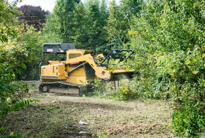 Acreage Clearing in Katy, TX